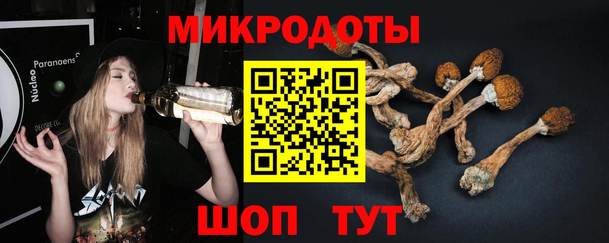 Улан-Удэ  Псилоцибиновые грибы мицелий  Вход с VPN 